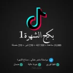 بكج الشهرة 1 تيك توك